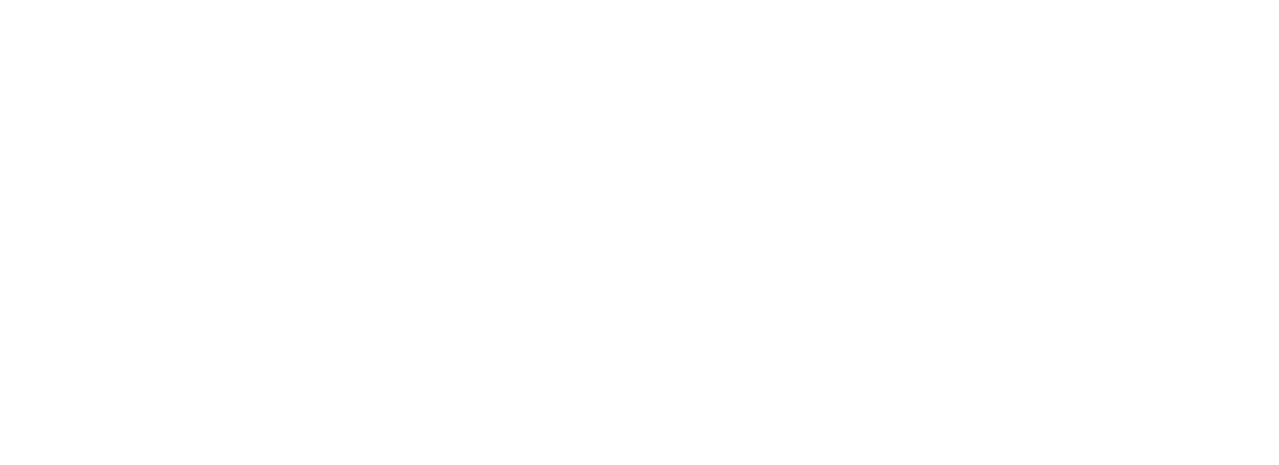 logo dw-b